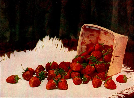 Strawberry picture